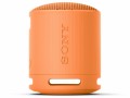SRS-XB100/DC